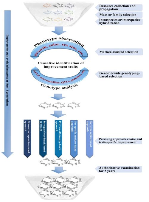 桂建芳院士團隊再度發(fā)力 在Water Biology and Security發(fā)表長文評述，重新審視魚類生物學(xué)與生物技術(shù)前景